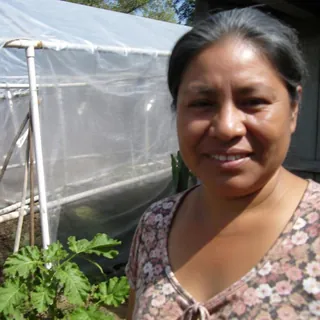 Marisol Quintanilla